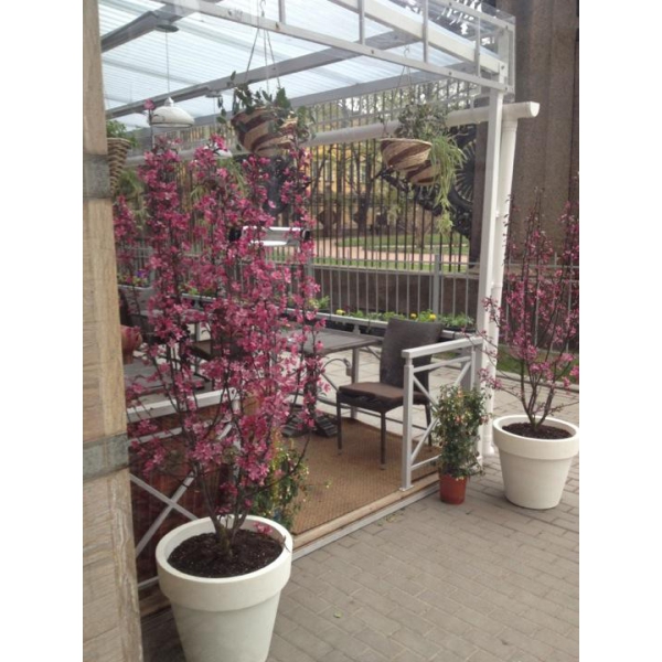 Ресторанный сервис бронирования столиков menu-rest.com - Интерьер ресторана "Рибай"