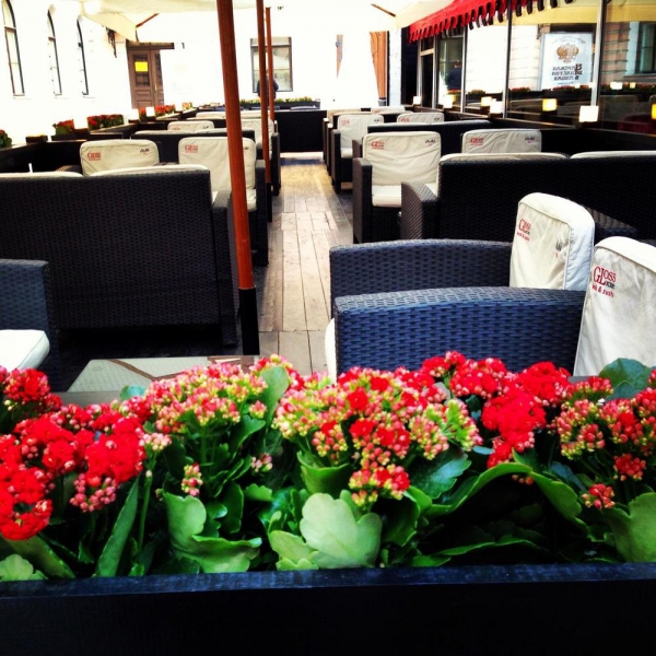 Ресторанный сервис бронирования столиков menu-rest.com - Интерьер ресторана "Gloss cafe"