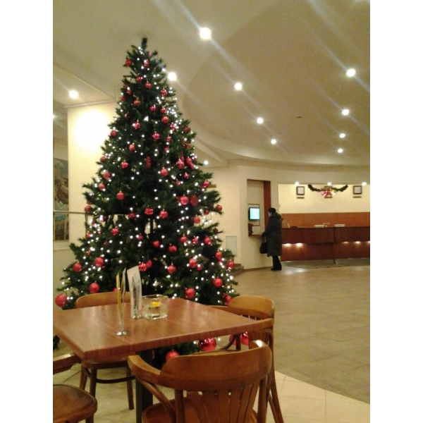 Ресторанный сервис бронирования столиков menu-rest.com - Интерьер ресторана "Andersen"