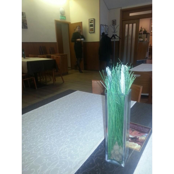 Ресторанный сервис бронирования столиков menu-rest.com - Интерьер ресторана "Andersen"