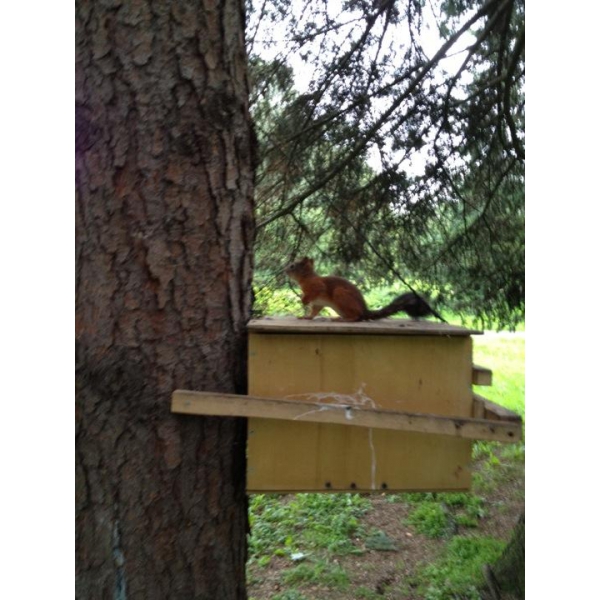 Ресторанный сервис бронирования столиков menu-rest.com - Интерьер ресторана "Отель Парк Крестовский"