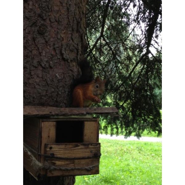 Ресторанный сервис бронирования столиков menu-rest.com - Интерьер ресторана "Отель Парк Крестовский"