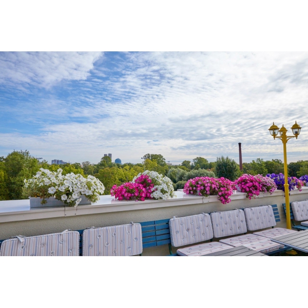 Ресторанный сервис бронирования столиков menu-rest.com - Интерьер ресторана "Food park"