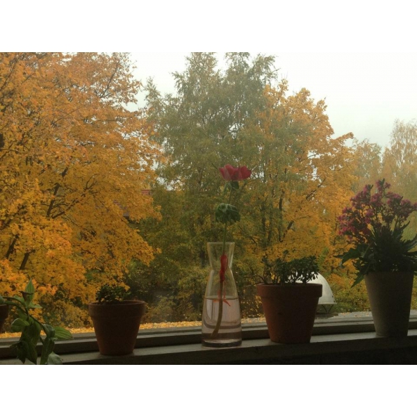 Ресторанный сервис бронирования столиков menu-rest.com - Интерьер ресторана "На речке"