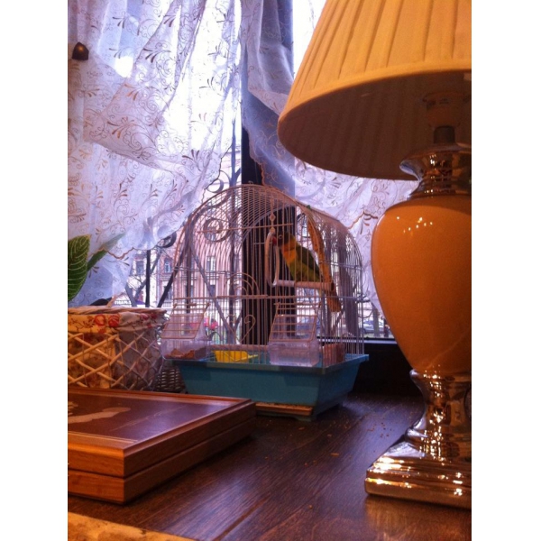 Ресторанный сервис бронирования столиков menu-rest.com - Интерьер ресторана "Чабрец"