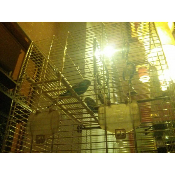 Ресторанный сервис бронирования столиков menu-rest.com - Интерьер ресторана "Дитай"