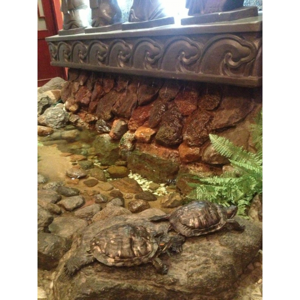 Ресторанный сервис бронирования столиков menu-rest.com - Интерьер ресторана "Китайский Двор"