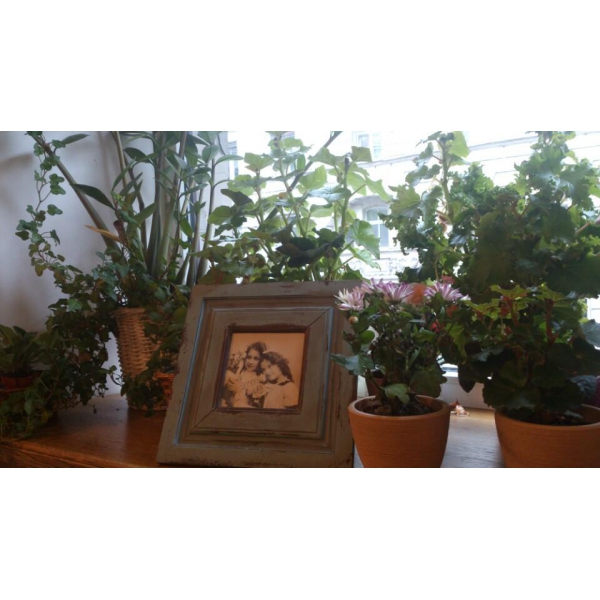 Ресторанный сервис бронирования столиков menu-rest.com - Интерьер ресторана "Трюфель"