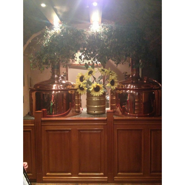 Ресторанный сервис бронирования столиков menu-rest.com - Интерьер ресторана "Град Петровъ"