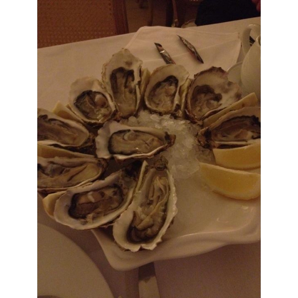 Ресторанный сервис бронирования столиков menu-rest.com - Интерьер ресторана "Porto Maltese"