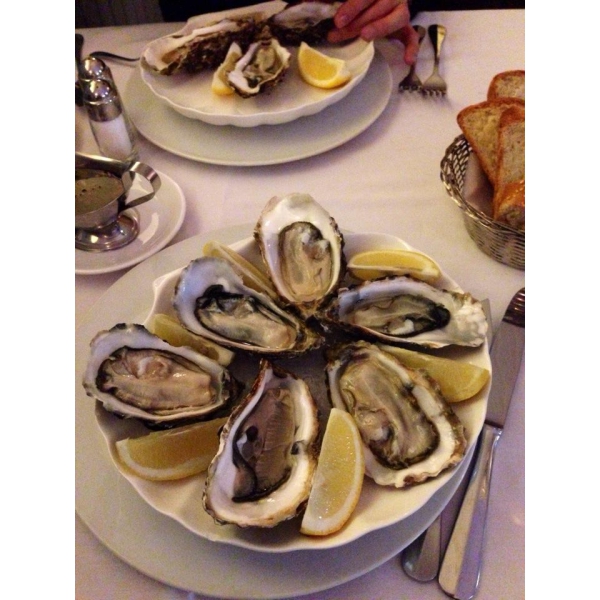 Ресторанный сервис бронирования столиков menu-rest.com - Интерьер ресторана "Porto Maltese"