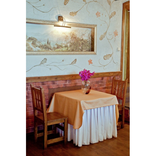 Ресторанный сервис бронирования столиков menu-rest.com - Интерьер ресторана "Ели-Пили"