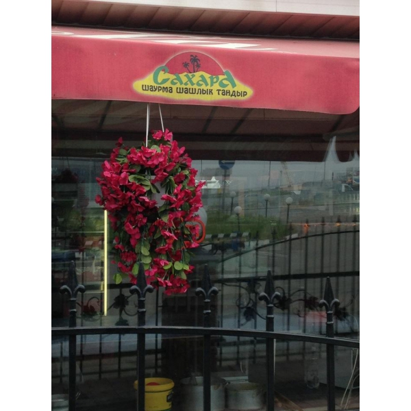 Ресторанный сервис бронирования столиков menu-rest.com - Интерьер ресторана "Сахара"