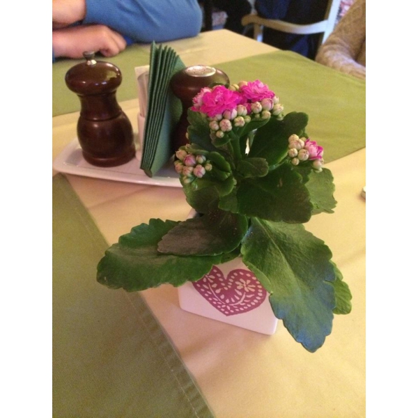 Ресторанный сервис бронирования столиков menu-rest.com - Интерьер ресторана "Повари"