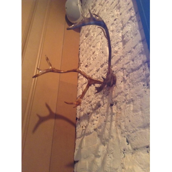 Ресторанный сервис бронирования столиков menu-rest.com - Интерьер ресторана "Jack & Chan"