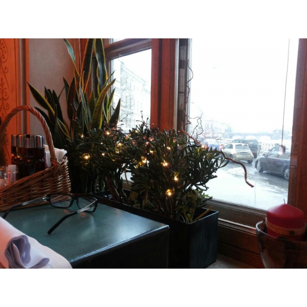 Ресторанный сервис бронирования столиков menu-rest.com - Интерьер ресторана "Mama Roma"