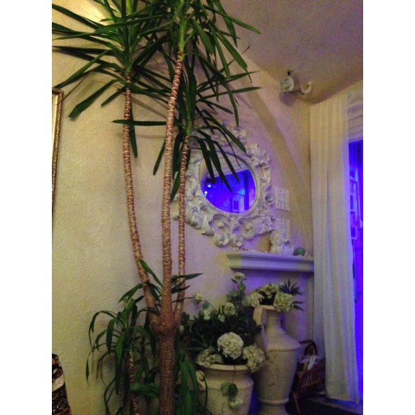 Ресторанный сервис бронирования столиков menu-rest.com - Интерьер ресторана "Palermo"