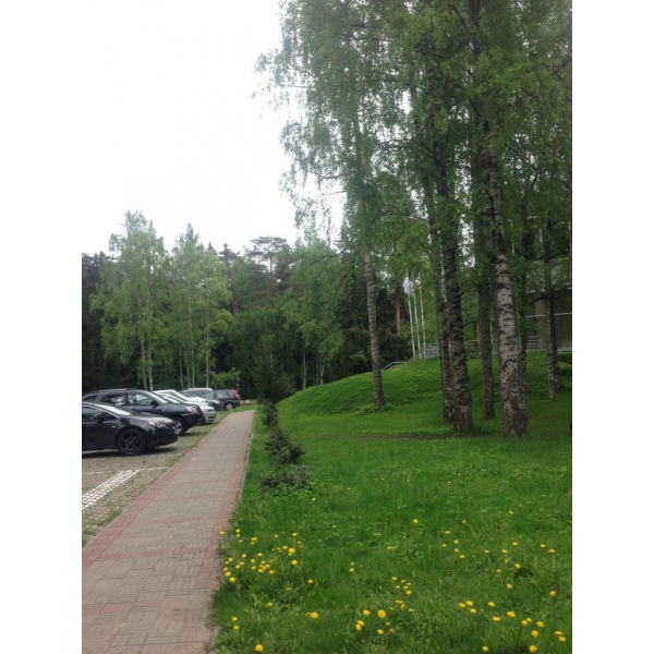 Ресторанный сервис бронирования столиков menu-rest.com - Интерьер ресторана "Репино Cronwell Park отель"