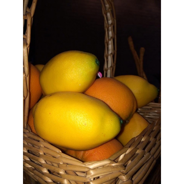 Ресторанный сервис бронирования столиков menu-rest.com - Интерьер ресторана "Gianni"