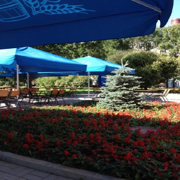 Ресторанный сервис бронирования столиков menu-rest.com - Интерьер ресторана "Царский Двор"