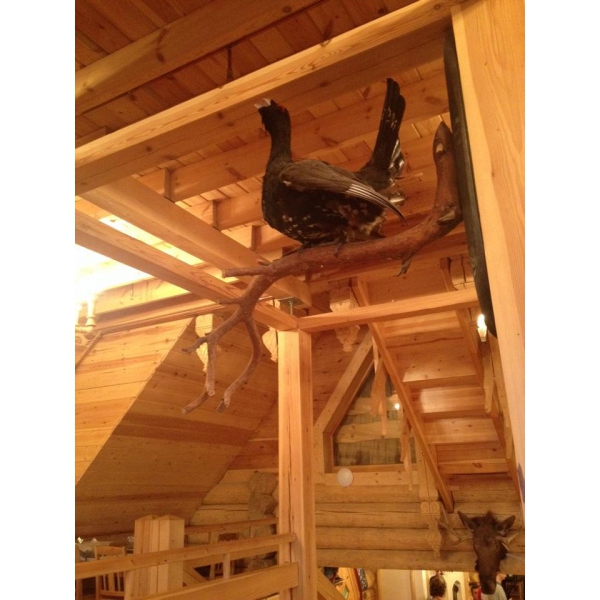 Ресторанный сервис бронирования столиков menu-rest.com - Интерьер ресторана "Подворье"