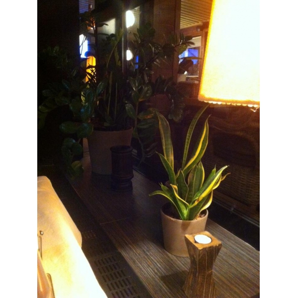 Ресторанный сервис бронирования столиков menu-rest.com - Интерьер ресторана "Волна"