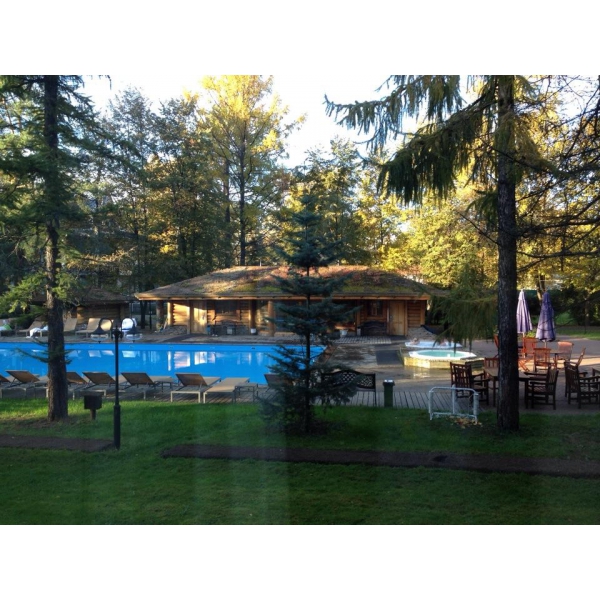 Ресторанный сервис бронирования столиков menu-rest.com - Интерьер ресторана "Скандинавия"