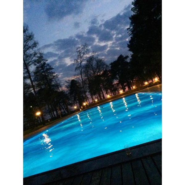 Ресторанный сервис бронирования столиков menu-rest.com - Интерьер ресторана "Скандинавия"