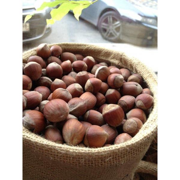 Ресторанный сервис бронирования столиков menu-rest.com - Интерьер ресторана "Кавказ-Бар"