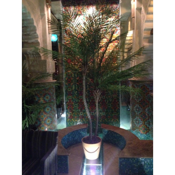 Ресторанный сервис бронирования столиков menu-rest.com - Интерьер ресторана "Эмираты"