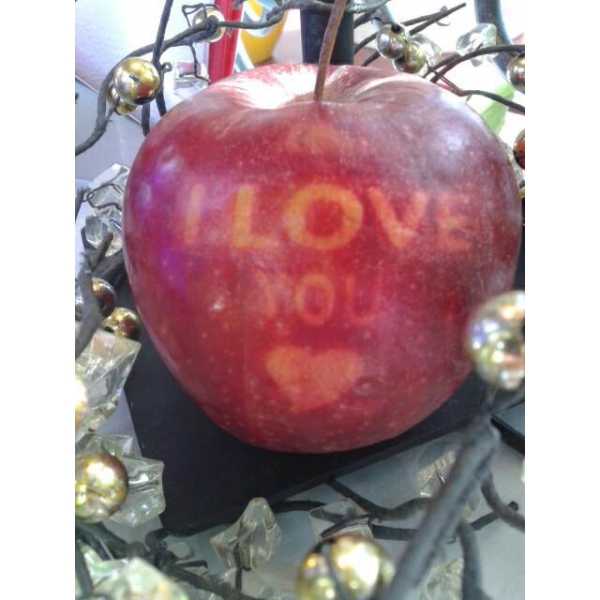 Ресторанный сервис бронирования столиков menu-rest.com - Интерьер ресторана "Драго"