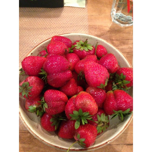 Ресторанный сервис бронирования столиков menu-rest.com - Интерьер ресторана "Пиворама"