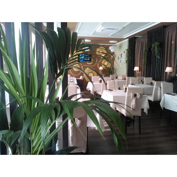 Ресторанный сервис бронирования столиков menu-rest.com - Интерьер ресторана "Mon Ami"