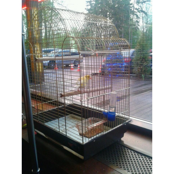 Ресторанный сервис бронирования столиков menu-rest.com - Интерьер ресторана "Runo.ru"