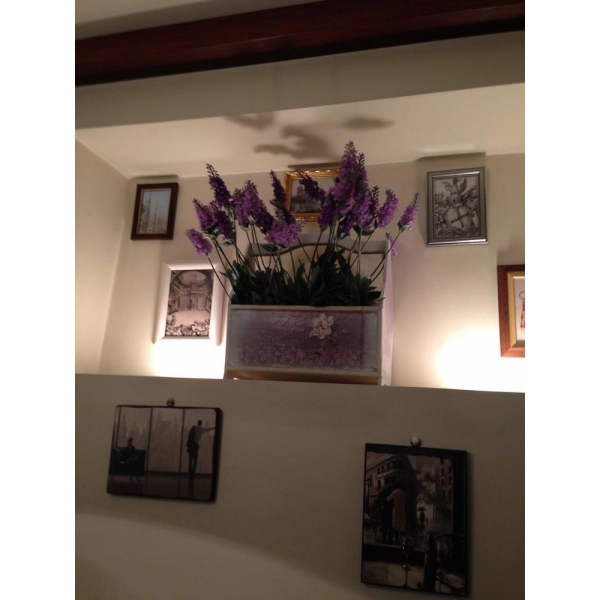 Ресторанный сервис бронирования столиков menu-rest.com - Интерьер ресторана "La Mia Firenze"