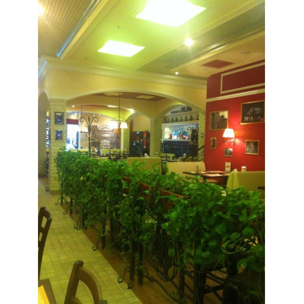 Ресторанный сервис бронирования столиков menu-rest.com - Интерьер ресторана "Il Patio"