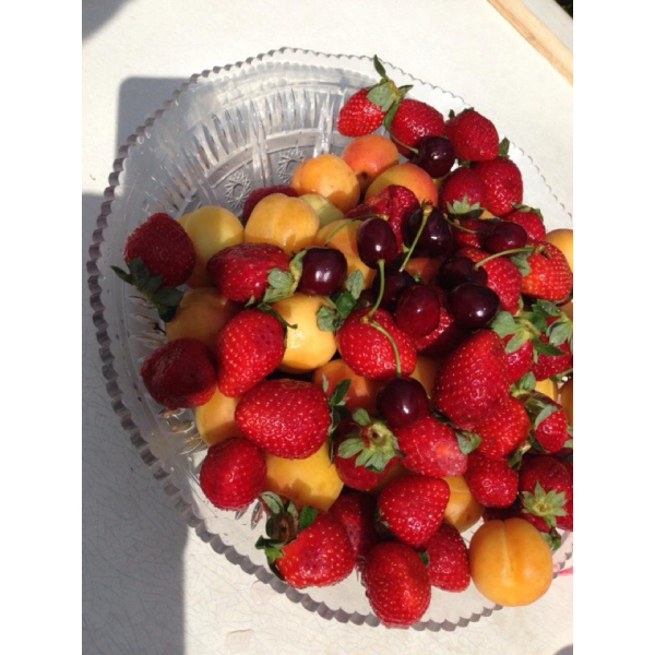 Ресторанный сервис бронирования столиков menu-rest.com - Интерьер ресторана "Family Restaurant"