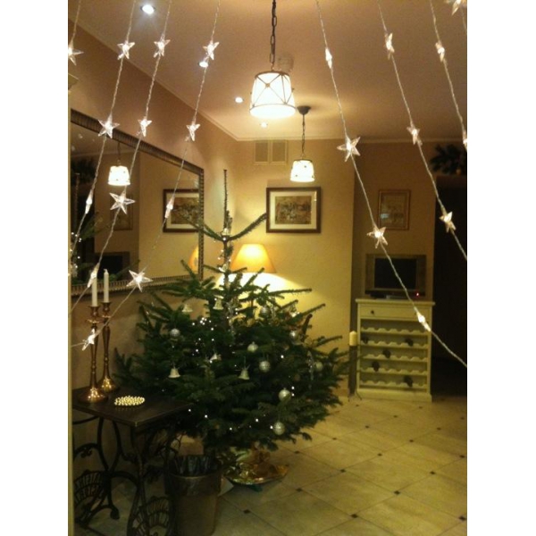 Ресторанный сервис бронирования столиков menu-rest.com - Интерьер ресторана "Pushka INN"