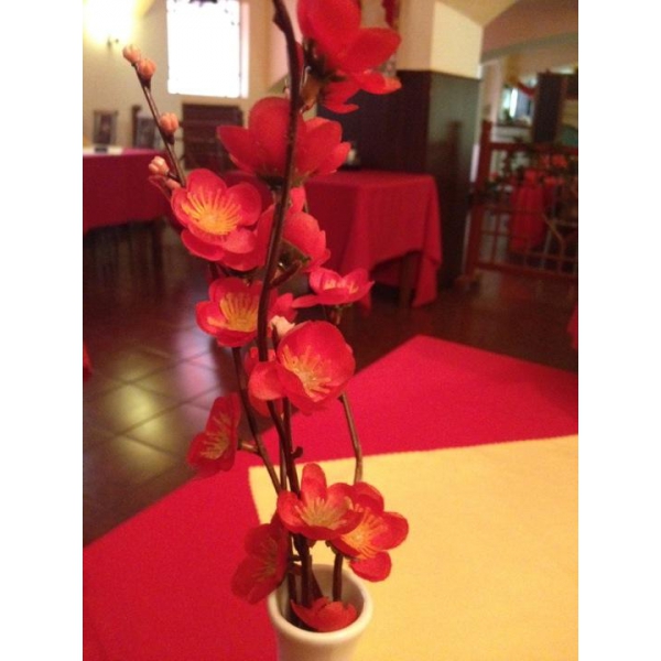 Ресторанный сервис бронирования столиков menu-rest.com - Интерьер ресторана "Красное Солнце"