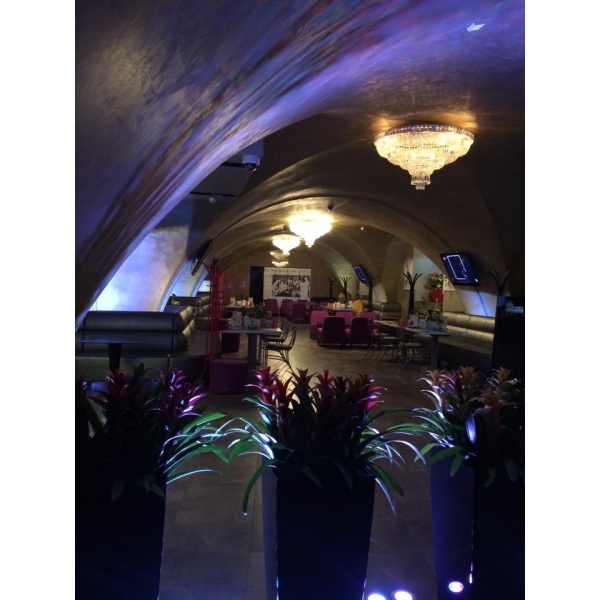 Ресторанный сервис бронирования столиков menu-rest.com - Интерьер ресторана "Bootlegger`s"