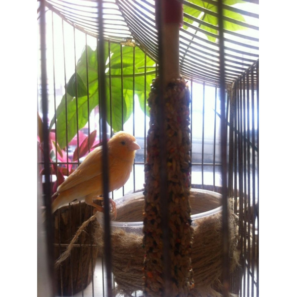 Ресторанный сервис бронирования столиков menu-rest.com - Интерьер ресторана "КОРЕЙКО"