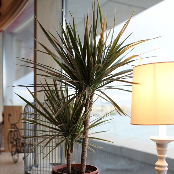 Ресторанный сервис бронирования столиков menu-rest.com - Интерьер ресторана "La Cucina"