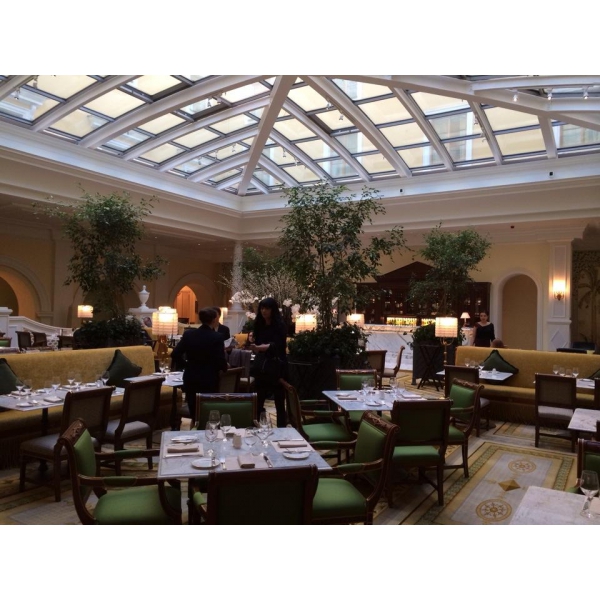 Ресторанный сервис бронирования столиков menu-rest.com - Интерьер ресторана "Tea Lounge"