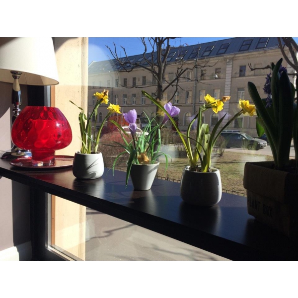 Ресторанный сервис бронирования столиков menu-rest.com - Интерьер ресторана "Angle Vert"