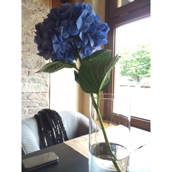 Ресторанный сервис бронирования столиков menu-rest.com - Интерьер ресторана "Teatro"