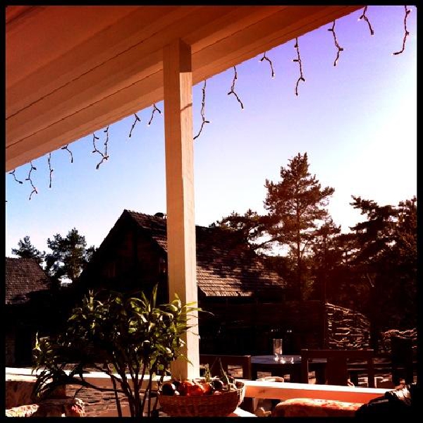 Ресторанный сервис бронирования столиков menu-rest.com - Интерьер ресторана "Черемша"