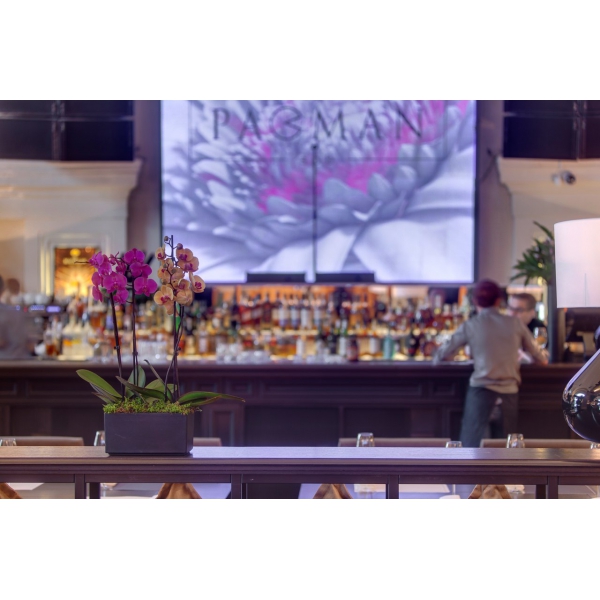 Ресторанный сервис бронирования столиков menu-rest.com - Интерьер ресторана "Pacman"