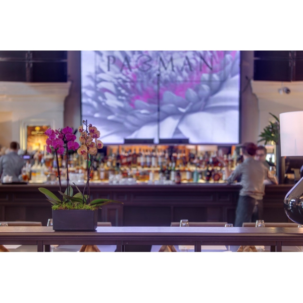 Ресторанный сервис бронирования столиков menu-rest.com - Интерьер ресторана "Pacman"