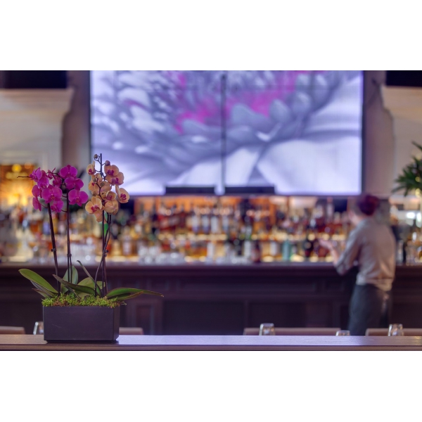 Ресторанный сервис бронирования столиков menu-rest.com - Интерьер ресторана "Pacman"