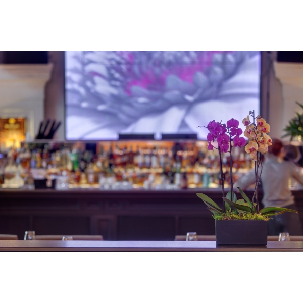 Ресторанный сервис бронирования столиков menu-rest.com - Интерьер ресторана "Pacman"